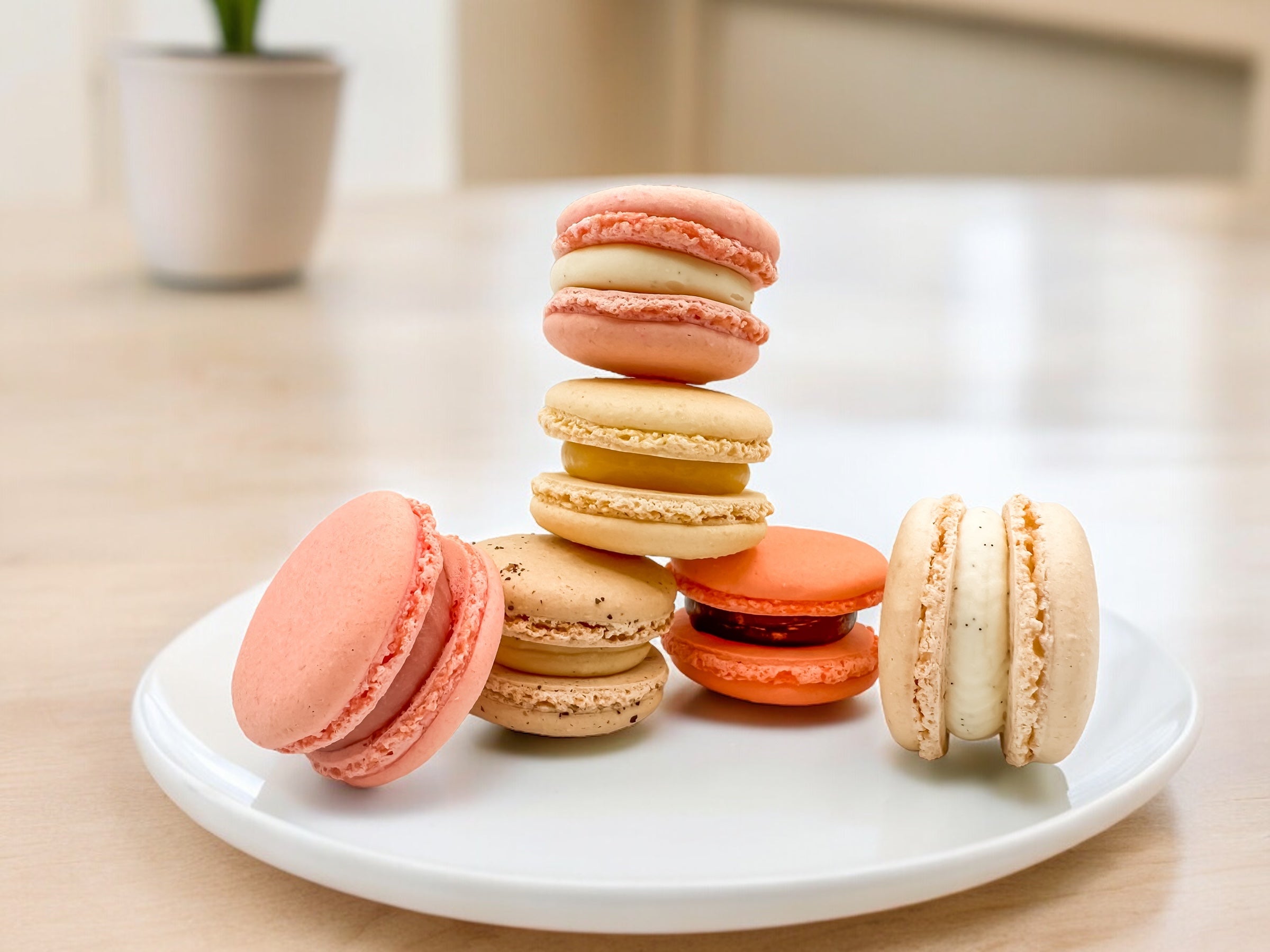 ASSORTED MACARONS
